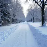 Electric Heated Driveways